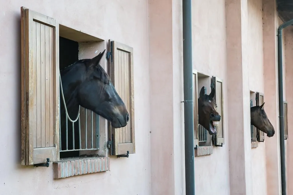 San Giacomo Horses & Agriturismo Arluno 0*,  Italië